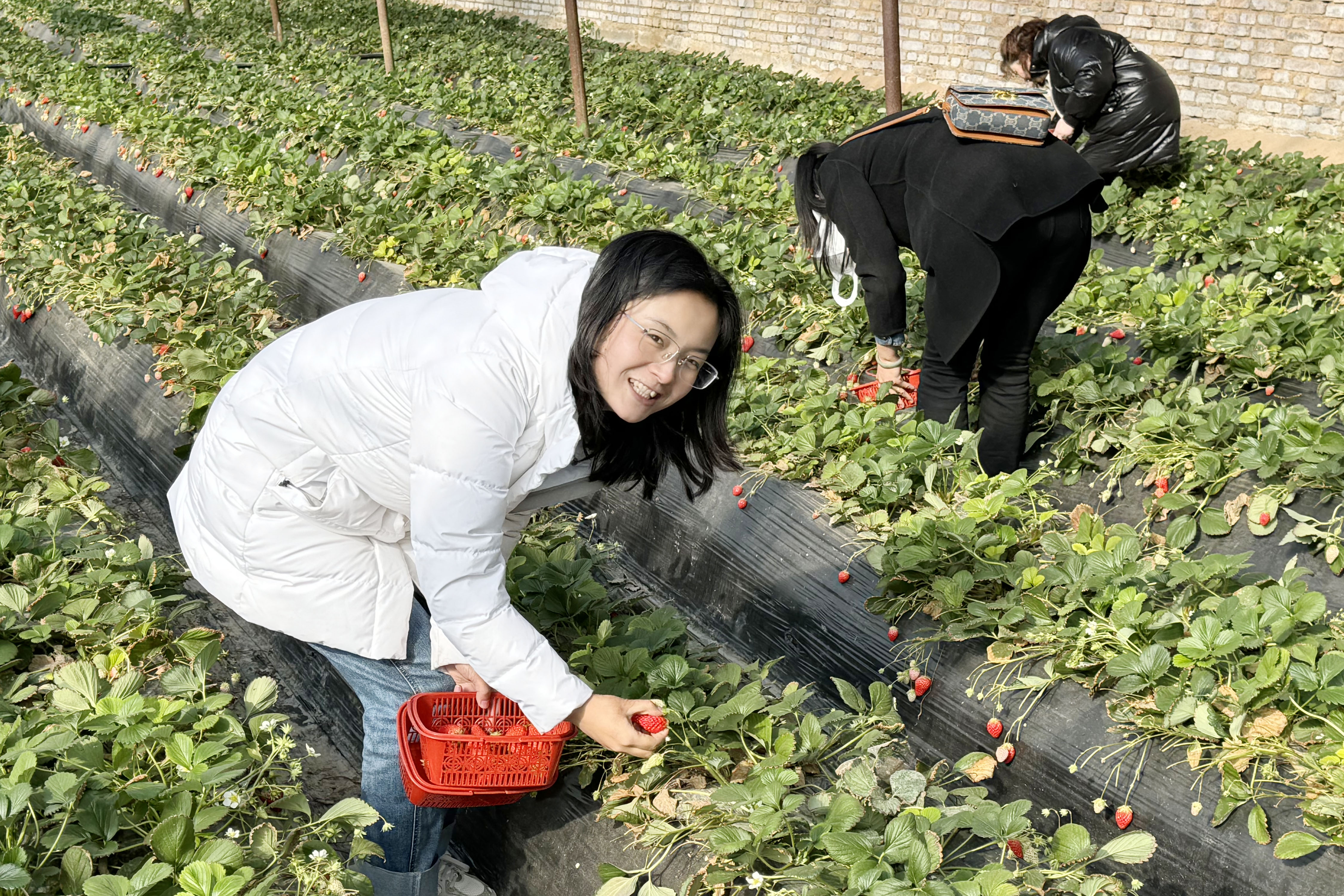 1730778290496482.jpg 三八活動2.jpg